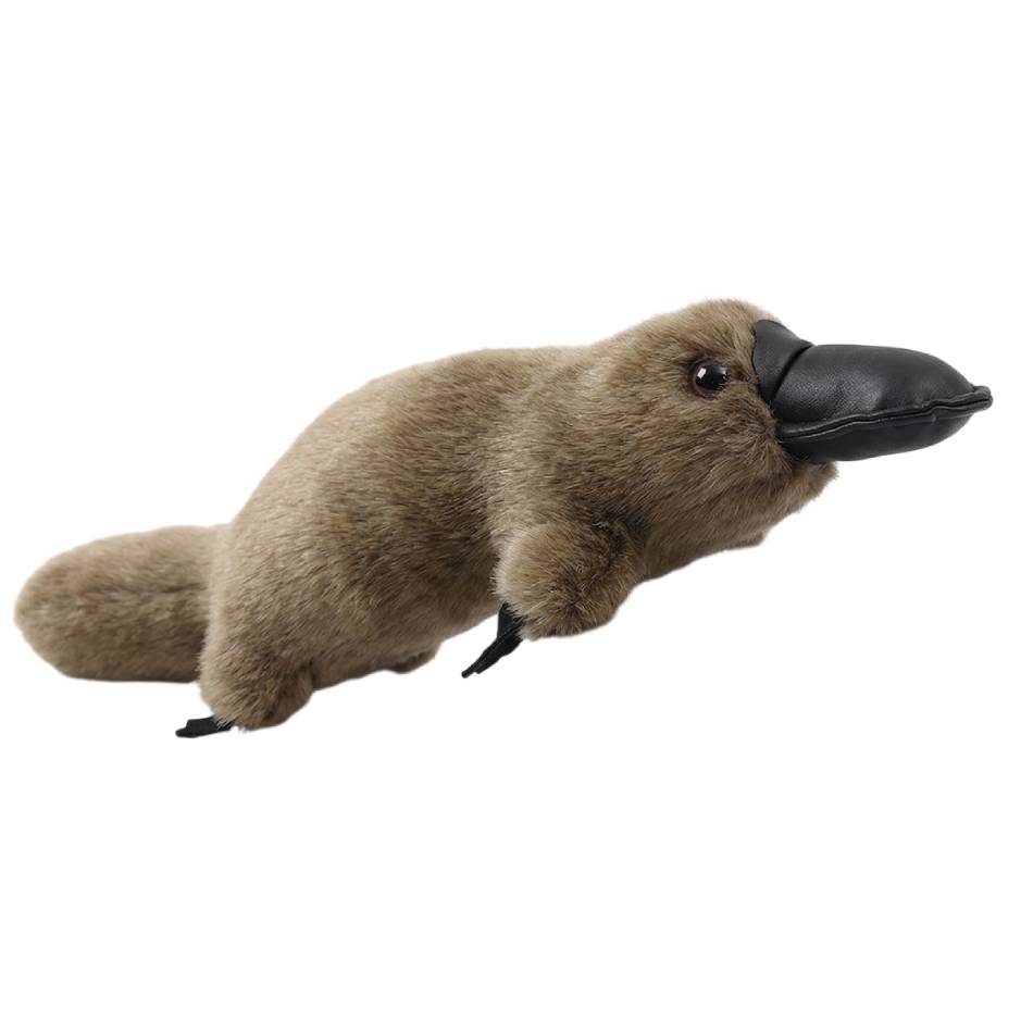 Descubra o Peluche Ornitorrinco macio e original, disponível em 30, 35 e 45cm. Um peluche infantil exótico perfeito para oferecer e encantar crianças +3 anos.